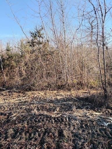 Chantier de broyage de parcelle à Castandet 