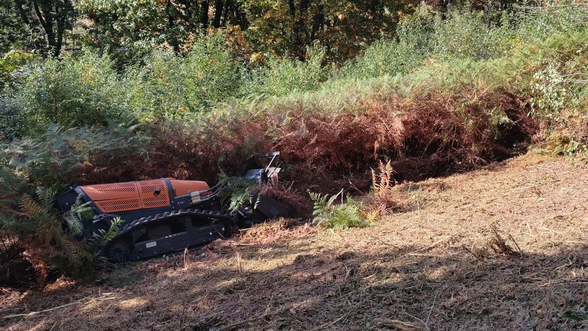Broyage de végétation au robot broyeur dans les Landes — ronciers, genêts et broussailles 