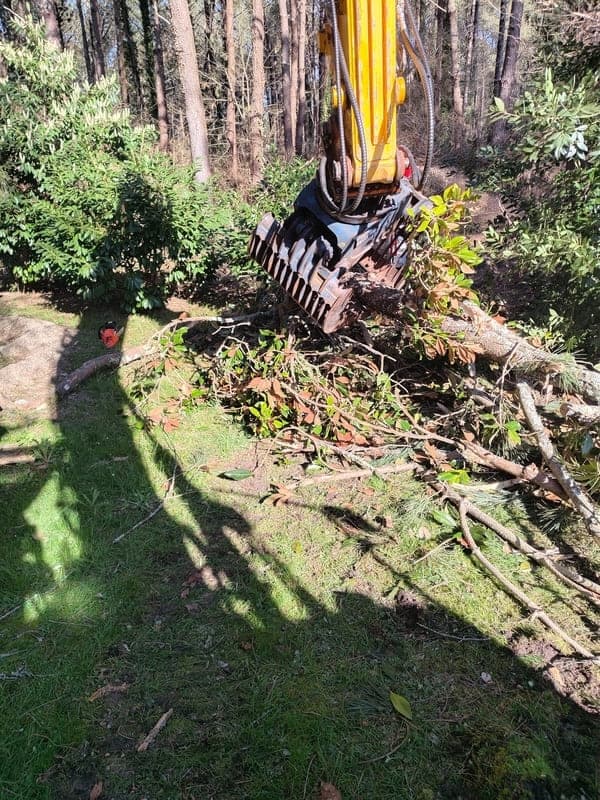Débitage et arrachage de souches à Saint-Martin-d'Oney - photo 1