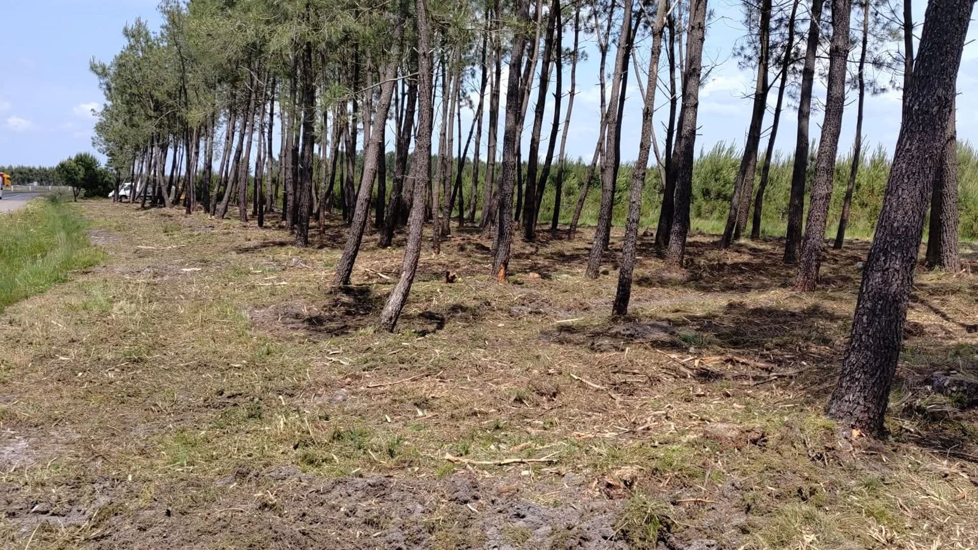 Débroussaillage obligatoire prévention incendie autour d'une habitation dans les Landes 