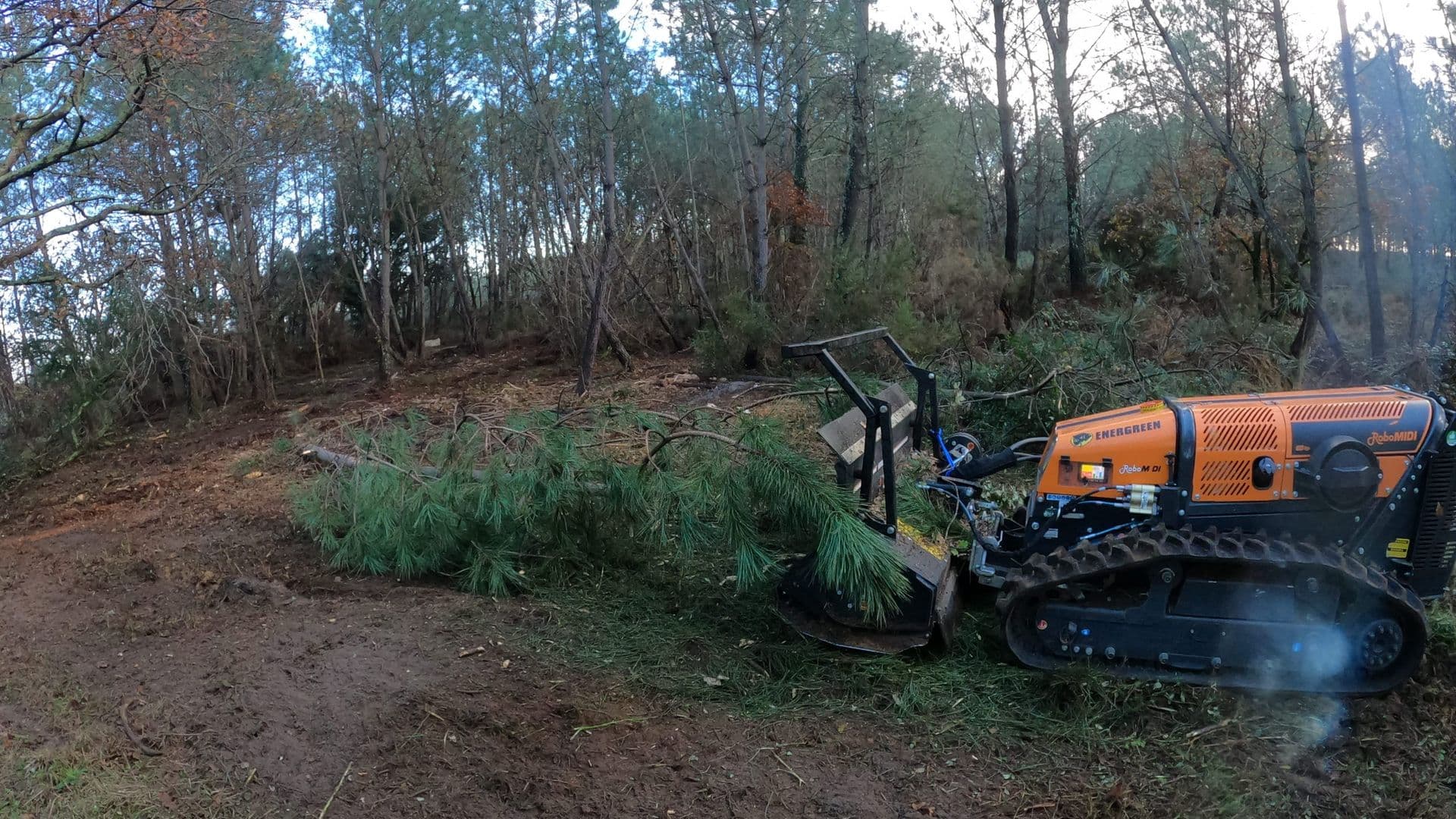 Robot broyeur Garrido en intervention de débroussaillage dans la forêt des Landes