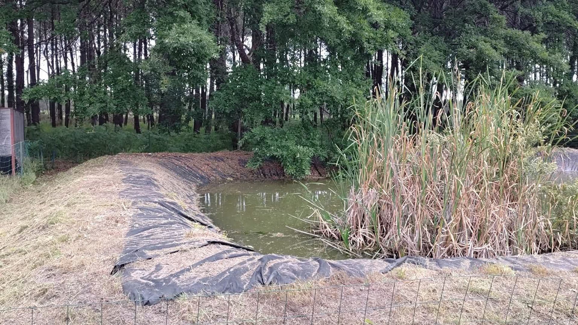Entretien de berges et cours d'eau dans les Landes — débroussaillage et nettoyage par Garrido   