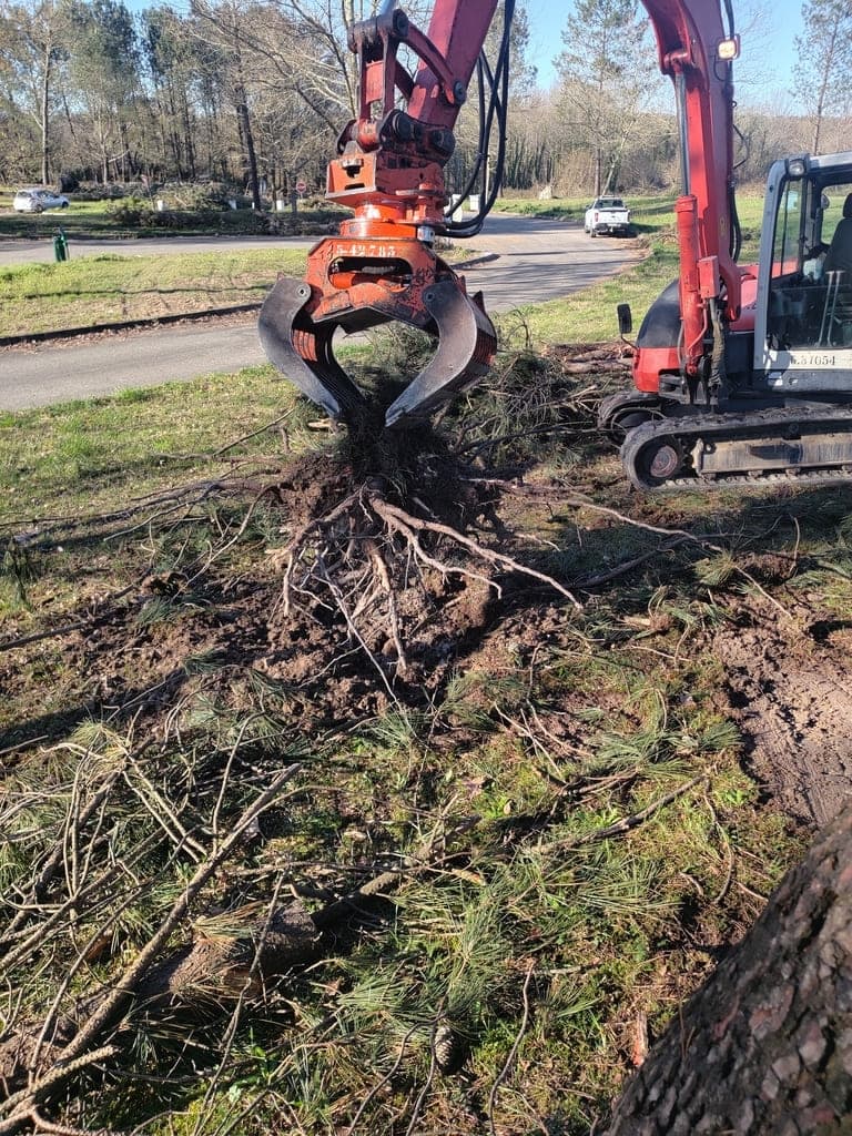 Nettoyage aire de Champigny - arrachage de souches à la pelle mécanique - photo 1
