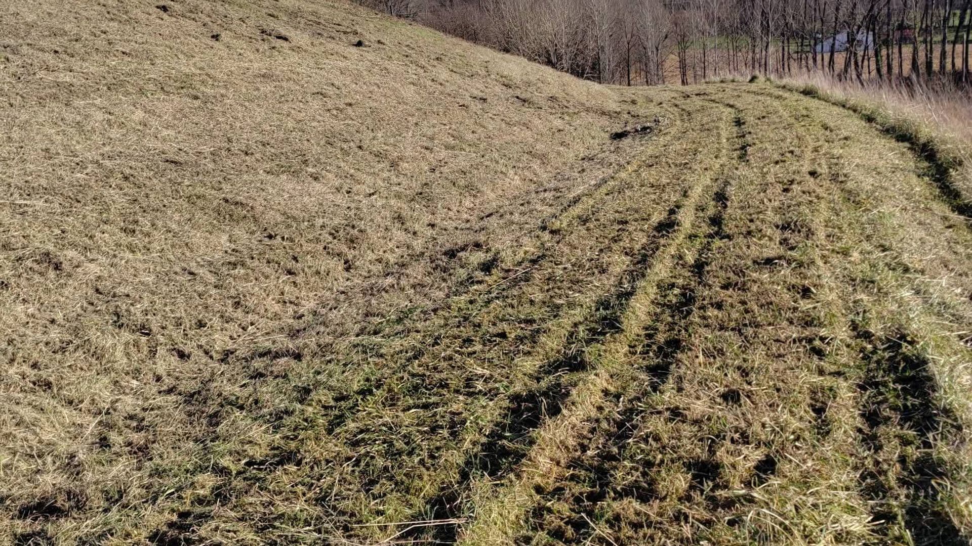 Chantier de débroussaillage terminé dans les Landes — réalisations Garrido   