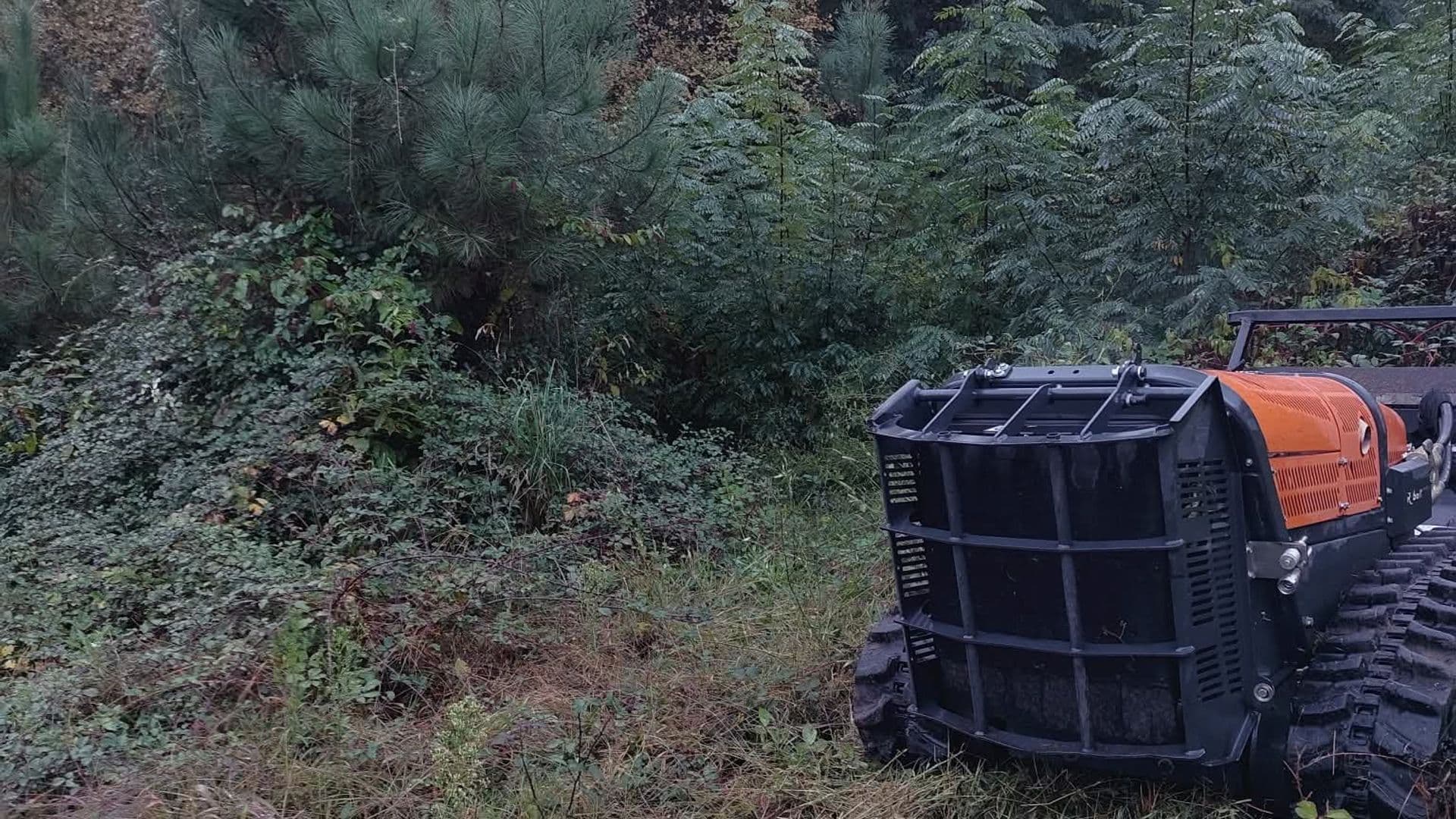 Services débroussaillage