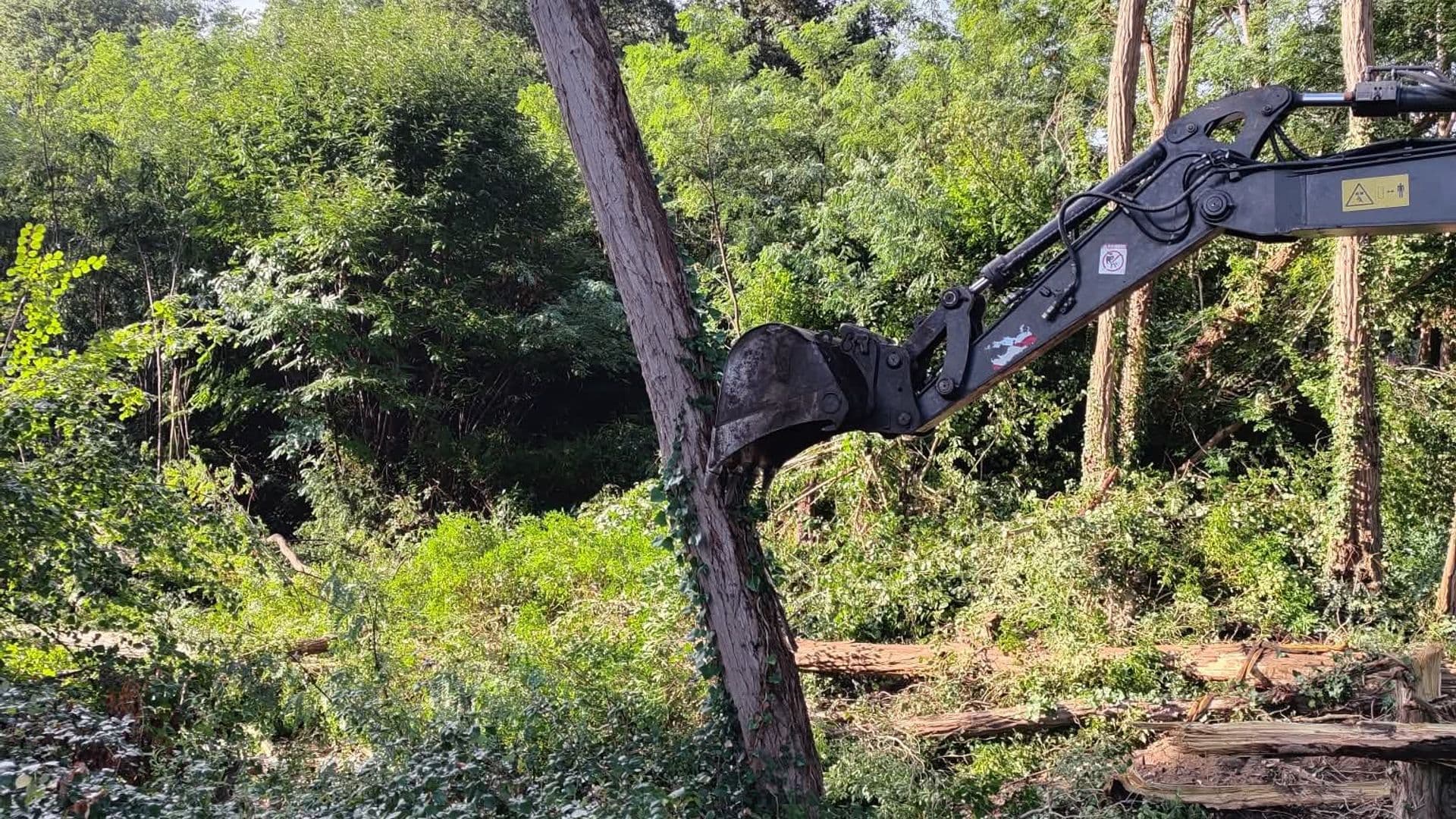 Travaux forestiers professionnels dans la forêt de pins des Landes par Garrido 