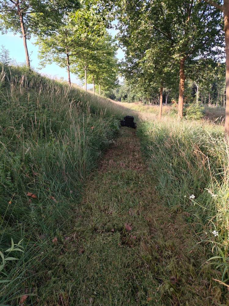 Passage fauché net sur un talus boisé en bordure de route à Saint-Sever dans les Landes