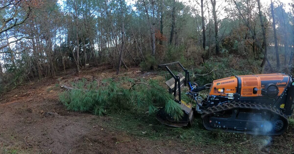 Débroussaillage & Travaux Forestiers Landes (40) | Garrido
